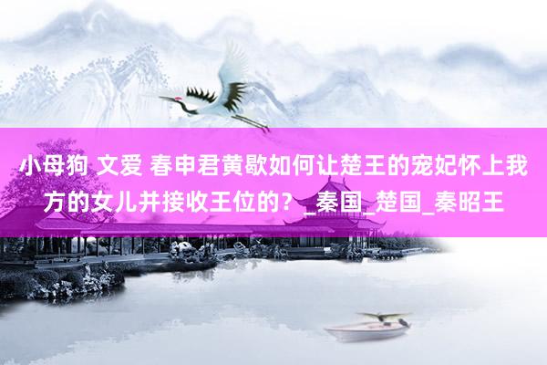小母狗 文爱 春申君黄歇如何让楚王的宠妃怀上我方的女儿并接收王位的？_秦国_楚国_秦昭王