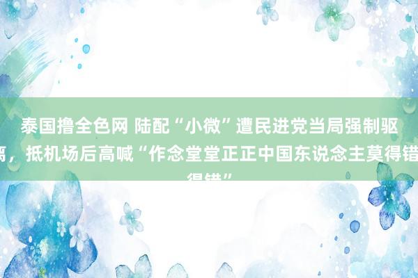 泰国撸全色网 陆配“小微”遭民进党当局强制驱离，抵机场后高喊“作念堂堂正正中国东说念主莫得错”