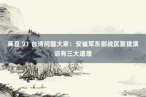 麻豆 91 台湾问题大家：安谧军东部战区聚拢演训有三大道理