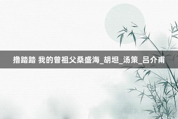 撸踏踏 我的曾祖父桑盛海_胡坦_汤策_吕介甫