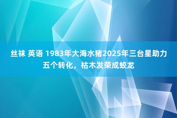 丝袜 英语 1983年大海水猪2025年三台星助力五个转化，枯木发荣成蛟龙