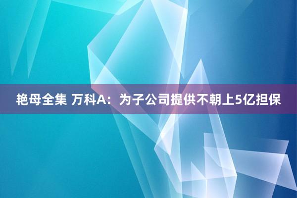 艳母全集 万科A：为子公司提供不朝上5亿担保