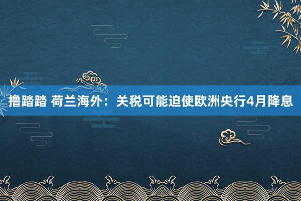 撸踏踏 荷兰海外：关税可能迫使欧洲央行4月降息
