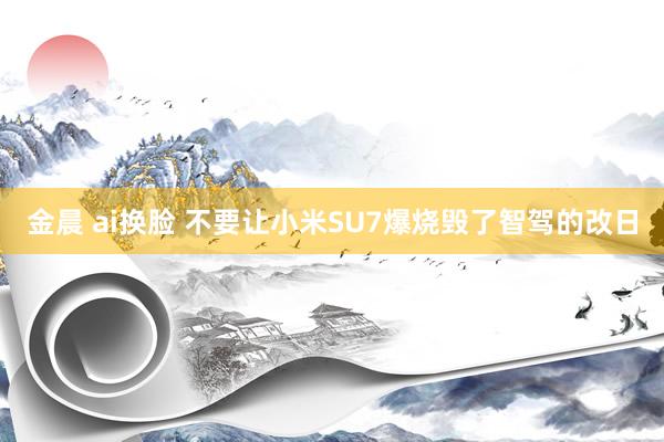 金晨 ai换脸 不要让小米SU7爆烧毁了智驾的改日