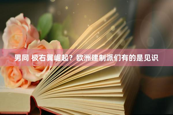 男同 极右翼崛起？欧洲建制派们有的是见识