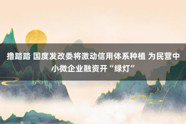 撸踏踏 国度发改委将激动信用体系种植 为民营中小微企业融资开“绿灯”