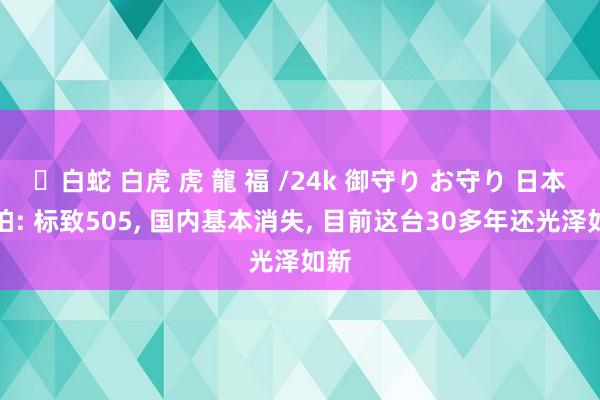 ✨白蛇 白虎 虎 龍 福 /24k 御守り お守り 日本街拍: 标致505， 国内基本消失， 目前这台30多年还光泽如新