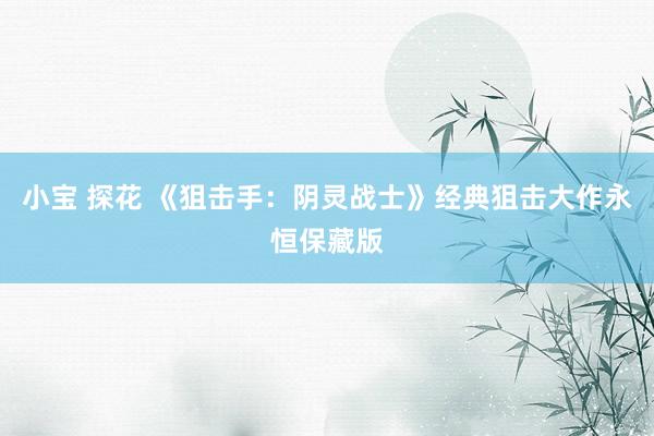 小宝 探花 《狙击手：阴灵战士》经典狙击大作永恒保藏版