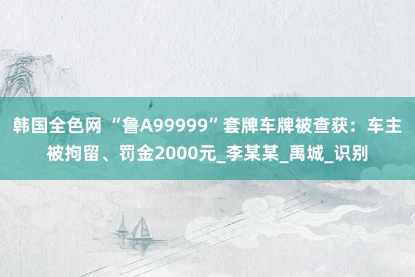韩国全色网 “鲁A99999”套牌车牌被查获：车主被拘留、罚金2000元_李某某_禹城_识别