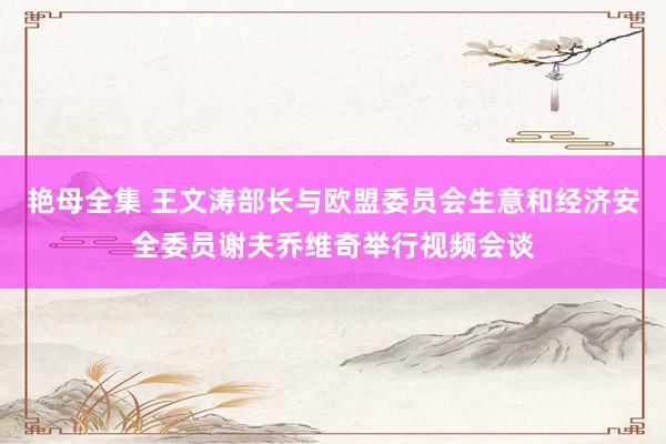 艳母全集 王文涛部长与欧盟委员会生意和经济安全委员谢夫乔维奇举行视频会谈