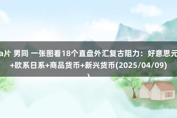 a片 男同 一张图看18个直盘外汇复古阻力：好意思元+欧系日系+商品货币+新兴货币(2025/04/09)