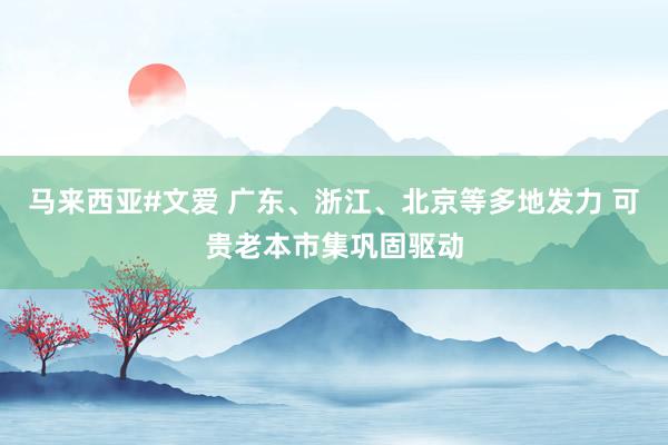 马来西亚#文爱 广东、浙江、北京等多地发力 可贵老本市集巩固驱动