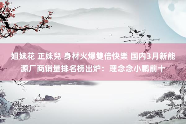 姐妹花 正妹兒 身材火爆雙倍快樂 国内3月新能源厂商销量排名榜出炉：理念念小鹏前十