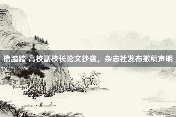 撸踏踏 高校副校长论文抄袭，杂志社发布撤稿声明