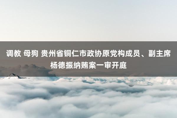 调教 母狗 贵州省铜仁市政协原党构成员、副主席杨德振纳贿案一审开庭