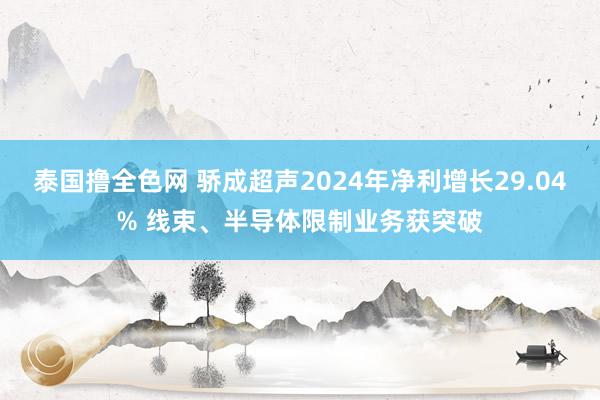 泰国撸全色网 骄成超声2024年净利增长29.04% 线束、半导体限制业务获突破
