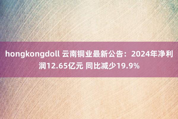 hongkongdoll 云南铜业最新公告：2024年净利润12.65亿元 同比减少19.9%