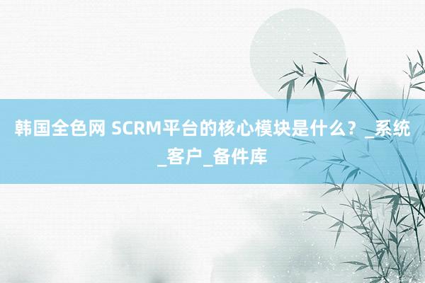韩国全色网 SCRM平台的核心模块是什么？_系统_客户_备件库
