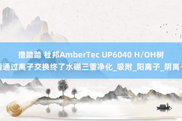 撸踏踏 杜邦AmberTec UP6040 H/OH树脂通过离子交换终了水硼三重净化_吸附_阳离子_阴离子