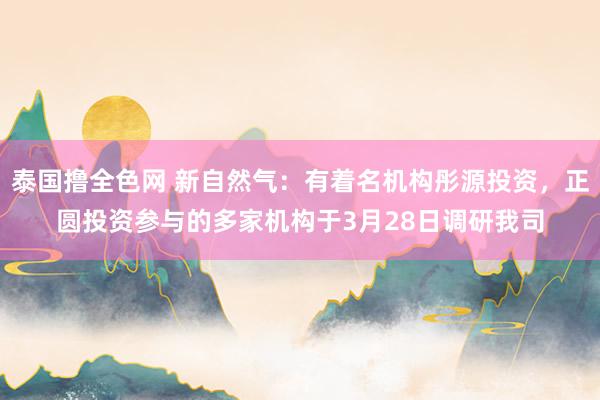泰国撸全色网 新自然气：有着名机构彤源投资，正圆投资参与的多家机构于3月28日调研我司