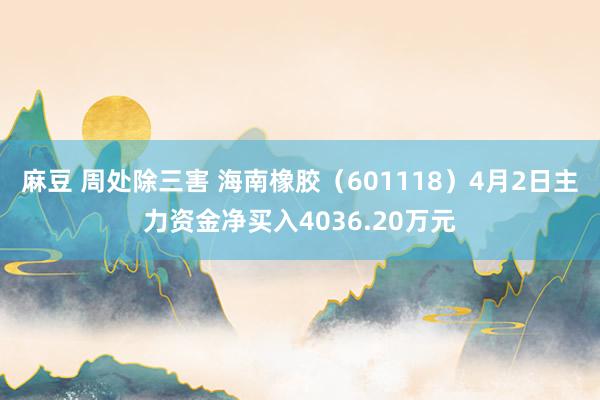 麻豆 周处除三害 海南橡胶（601118）4月2日主力资金净买入4036.20万元