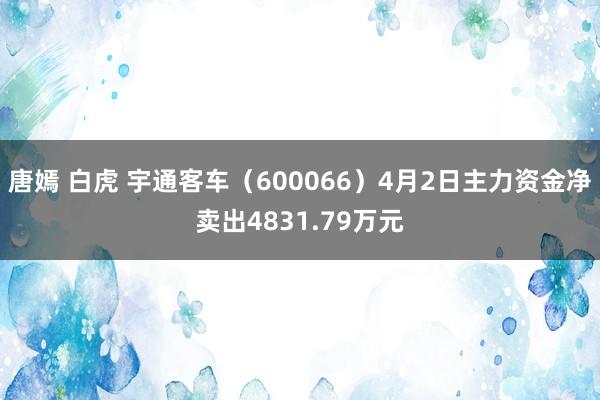 唐嫣 白虎 宇通客车（600066）4月2日主力资金净卖出4831.79万元