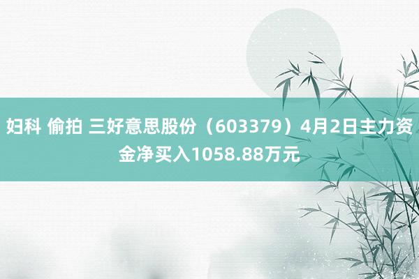 妇科 偷拍 三好意思股份（603379）4月2日主力资金净买入1058.88万元