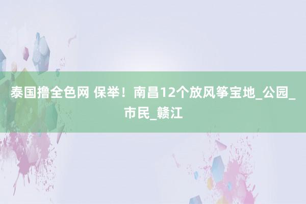 泰国撸全色网 保举！南昌12个放风筝宝地_公园_市民_赣江