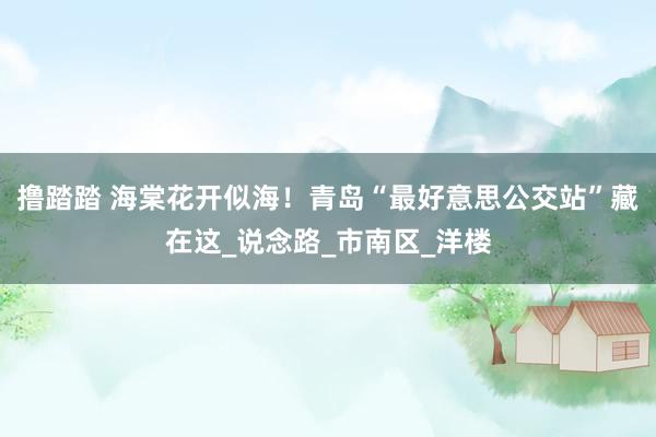 撸踏踏 海棠花开似海！青岛“最好意思公交站”藏在这_说念路_市南区_洋楼