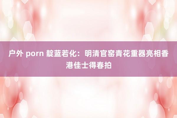 户外 porn 靛蓝若化：明清官窑青花重器亮相香港佳士得春拍