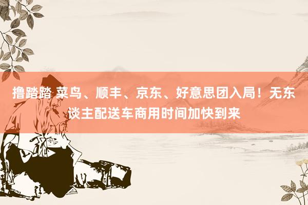 撸踏踏 菜鸟、顺丰、京东、好意思团入局！无东谈主配送车商用时间加快到来