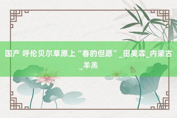 国产 呼伦贝尔草原上“春的但愿”_田昊霖_内蒙古_羊羔