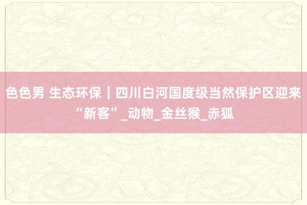 色色男 生态环保｜四川白河国度级当然保护区迎来“新客”_动物_金丝猴_赤狐