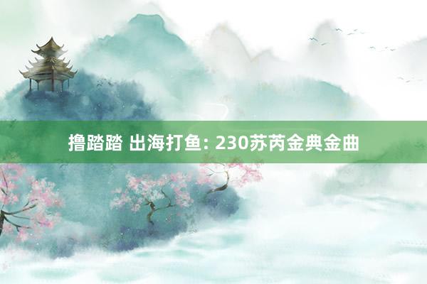 撸踏踏 出海打鱼: 230苏芮金典金曲