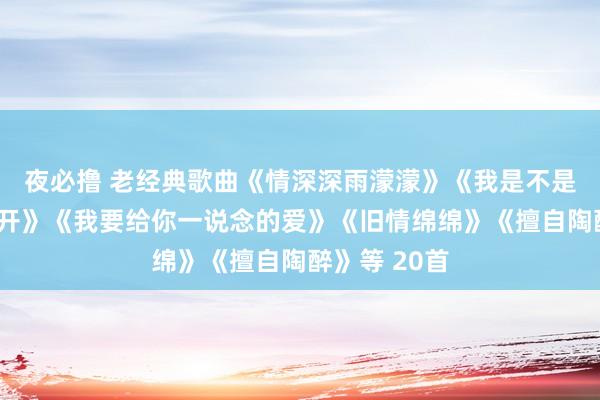 夜必撸 老经典歌曲《情深深雨濛濛》《我是不是该满足地走开》《我要给你一说念的爱》《旧情绵绵》《擅自陶醉》等 20首