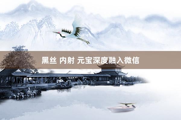 黑丝 内射 元宝深度融入微信