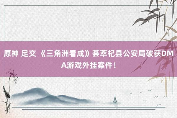 原神 足交 《三角洲看成》荟萃杞县公安局破获DMA游戏外挂案件！