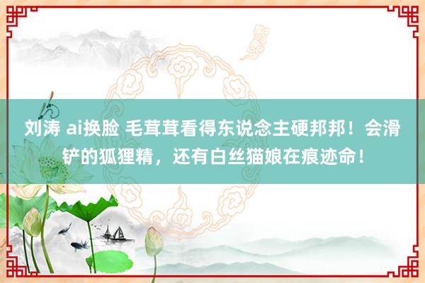 刘涛 ai换脸 毛茸茸看得东说念主硬邦邦！会滑铲的狐狸精，还有白丝猫娘在痕迹命！