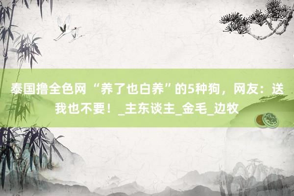 泰国撸全色网 “养了也白养”的5种狗，网友：送我也不要！_主东谈主_金毛_边牧