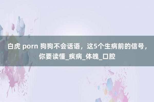 白虎 porn 狗狗不会话语，这5个生病前的信号，你要读懂_疾病_体魄_口腔