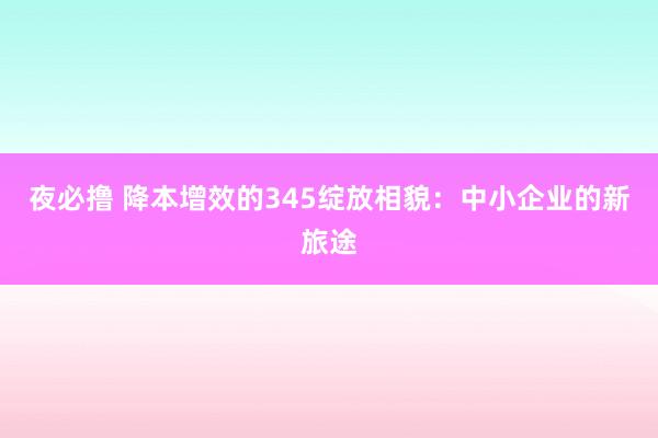 夜必撸 降本增效的345绽放相貌：中小企业的新旅途