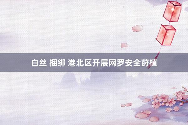 白丝 捆绑 港北区开展网罗安全莳植