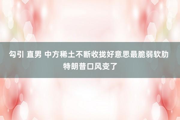 勾引 直男 中方稀土不断收拢好意思最脆弱软肋 特朗普口风变了