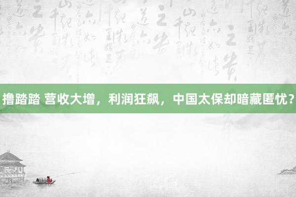 撸踏踏 营收大增，利润狂飙，中国太保却暗藏匿忧？