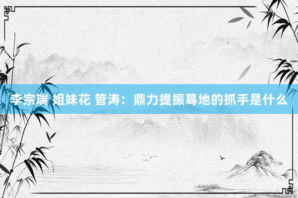 李宗瑞 姐妹花 管涛：鼎力提振蓦地的抓手是什么