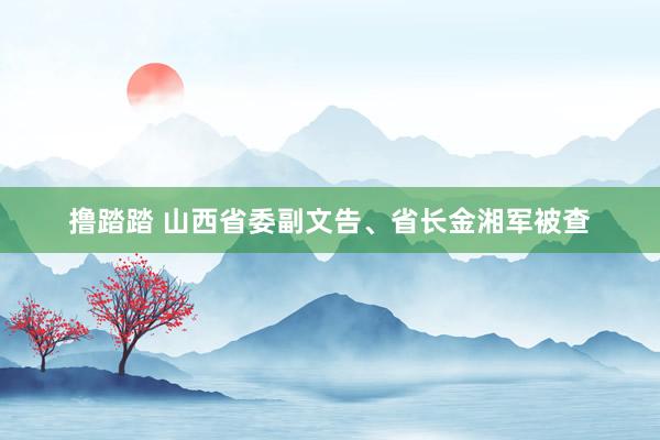 撸踏踏 山西省委副文告、省长金湘军被查