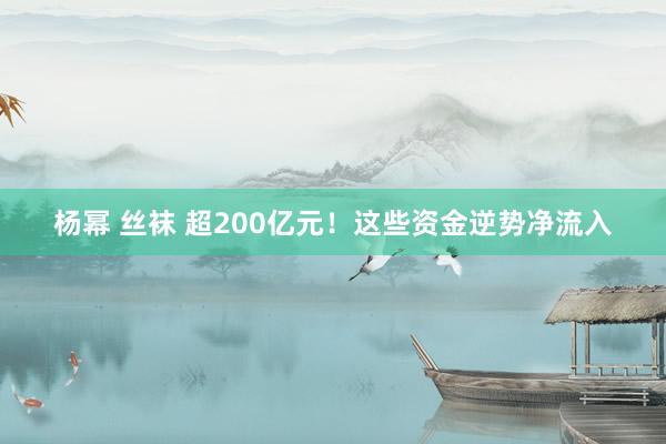 杨幂 丝袜 超200亿元！这些资金逆势净流入