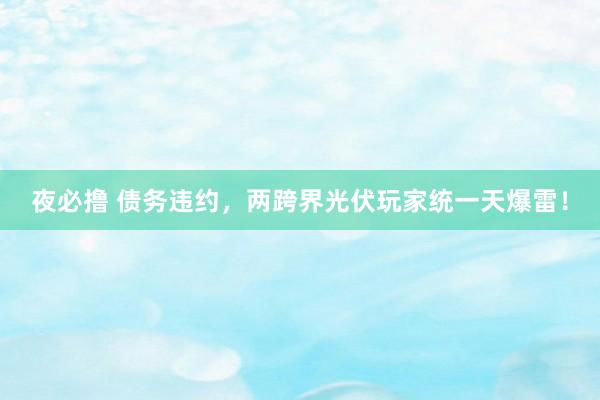 夜必撸 债务违约，两跨界光伏玩家统一天爆雷！