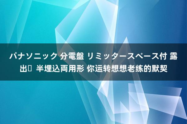 パナソニック 分電盤 リミッタースペース付 露出・半埋込両用形 你运转想想老练的默契