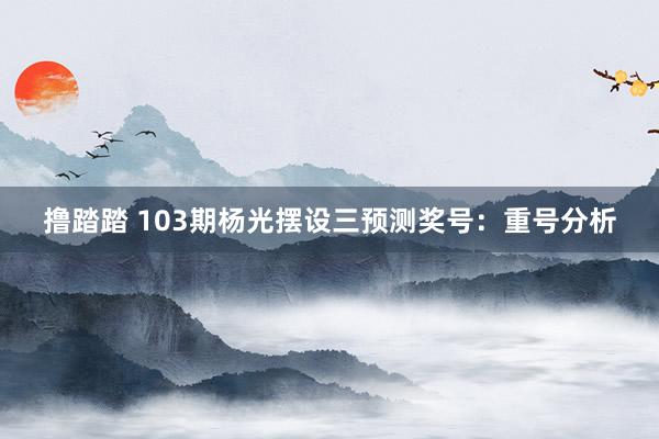 撸踏踏 103期杨光摆设三预测奖号：重号分析